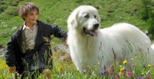 stasera in tv domenica 15 marzo belle e Sebastien