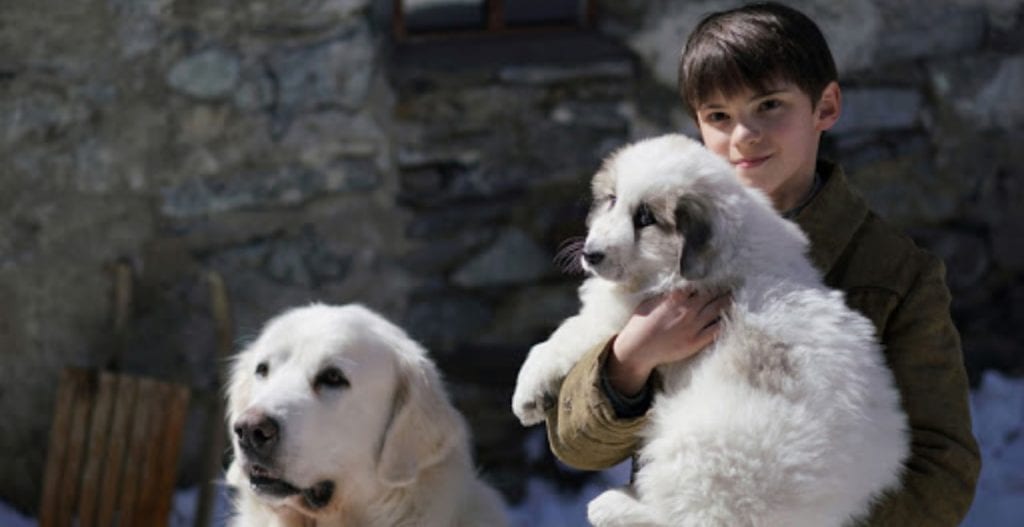 Ascolti TV venerdì 17 aprile 2020