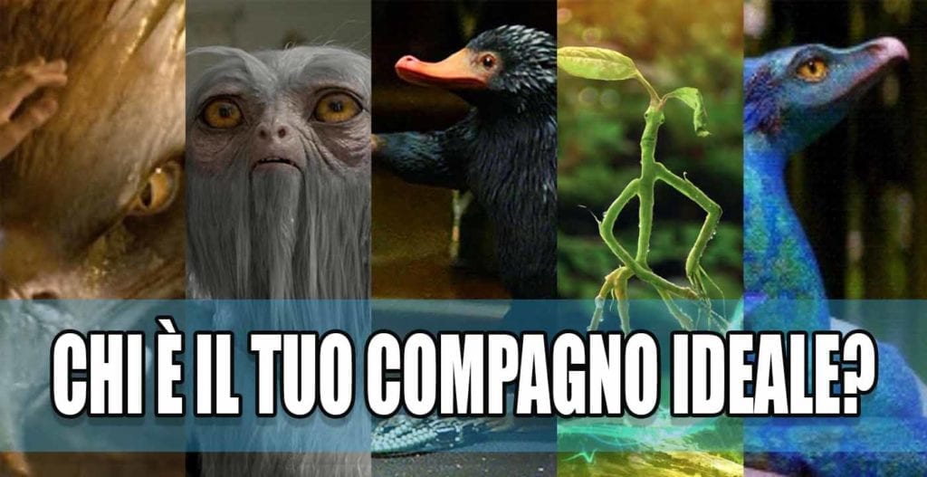 animali fantastici quiz