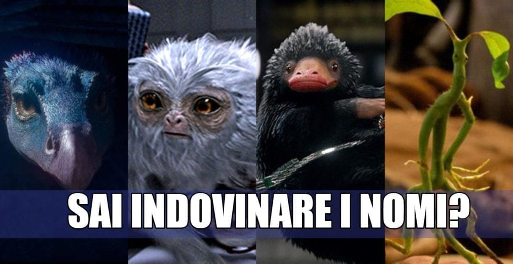 nomi animali fantastici quiz