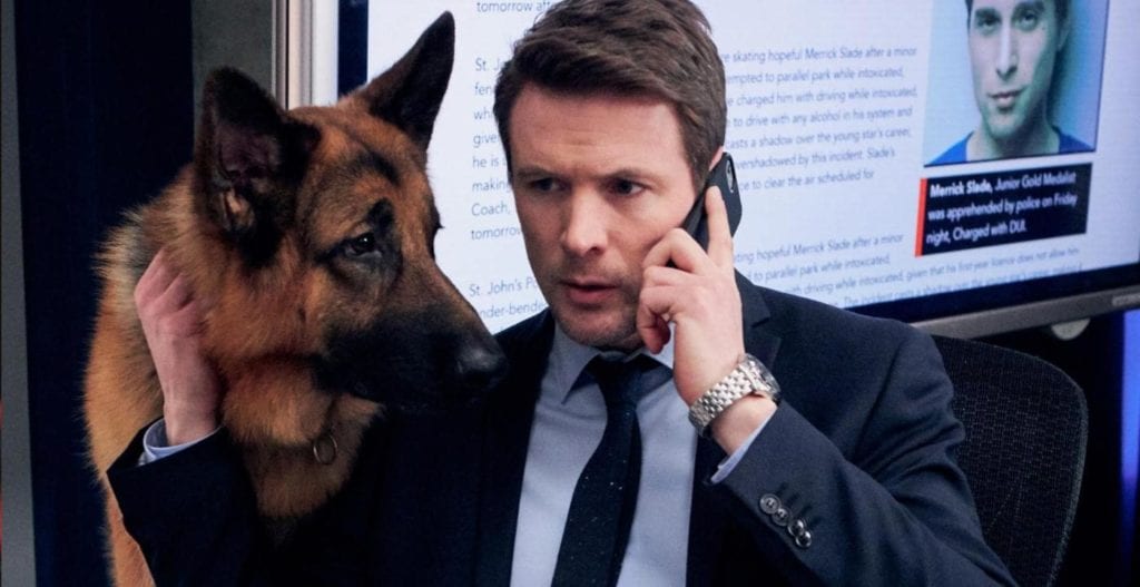Stasera in TV giovedì 3 settembre Hudson & Rex