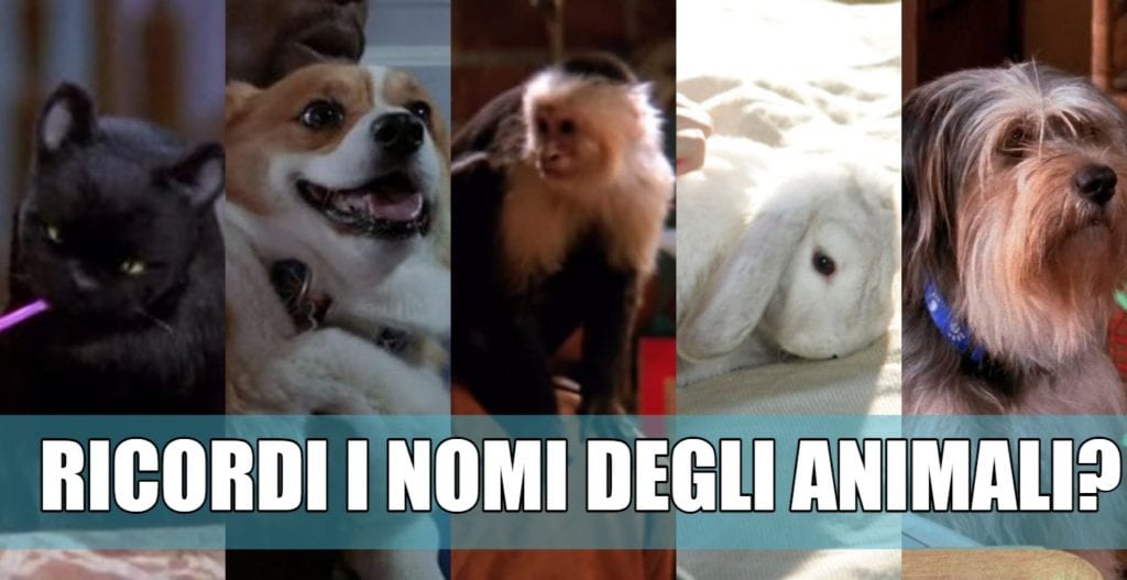 nomi animali serie tv quiz