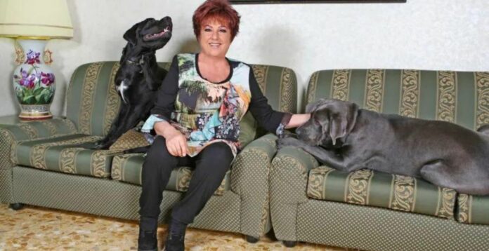 Un piano della casa per gli animali