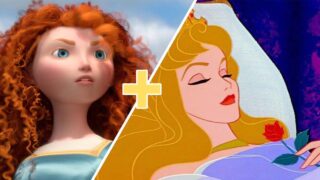 combo principesse disney