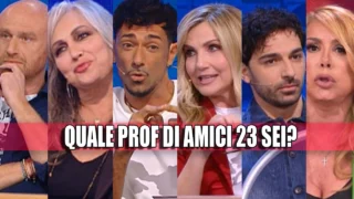 prof amici 23 quiz